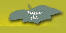 fassa ski